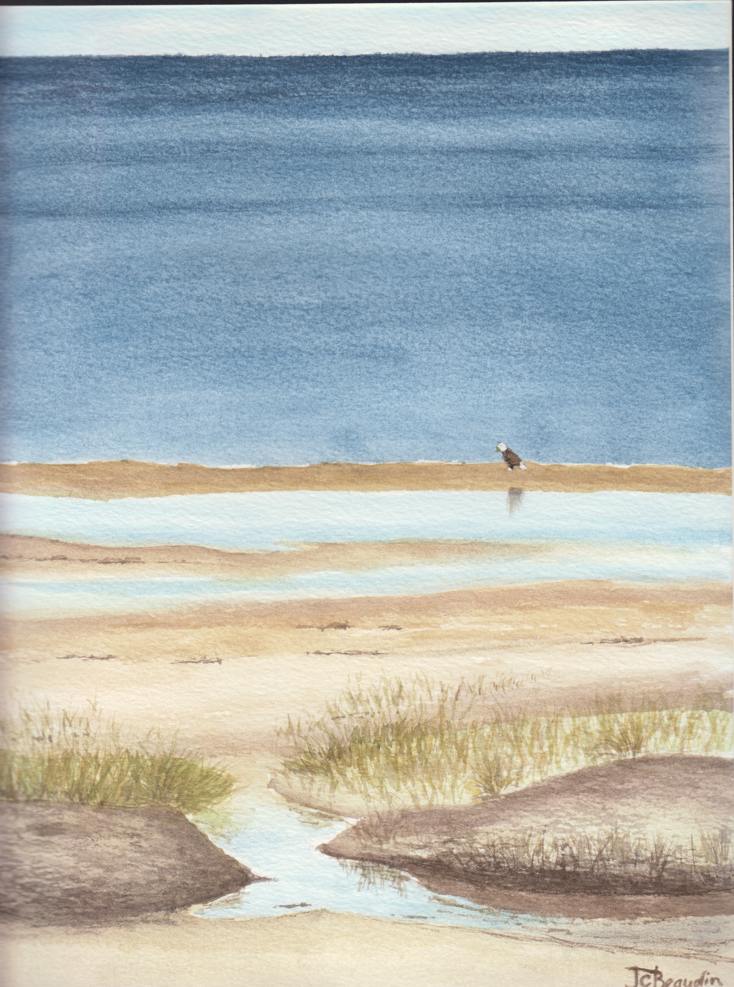 A big ol' Bald Headed Eagle, hanging out on a sand bar...