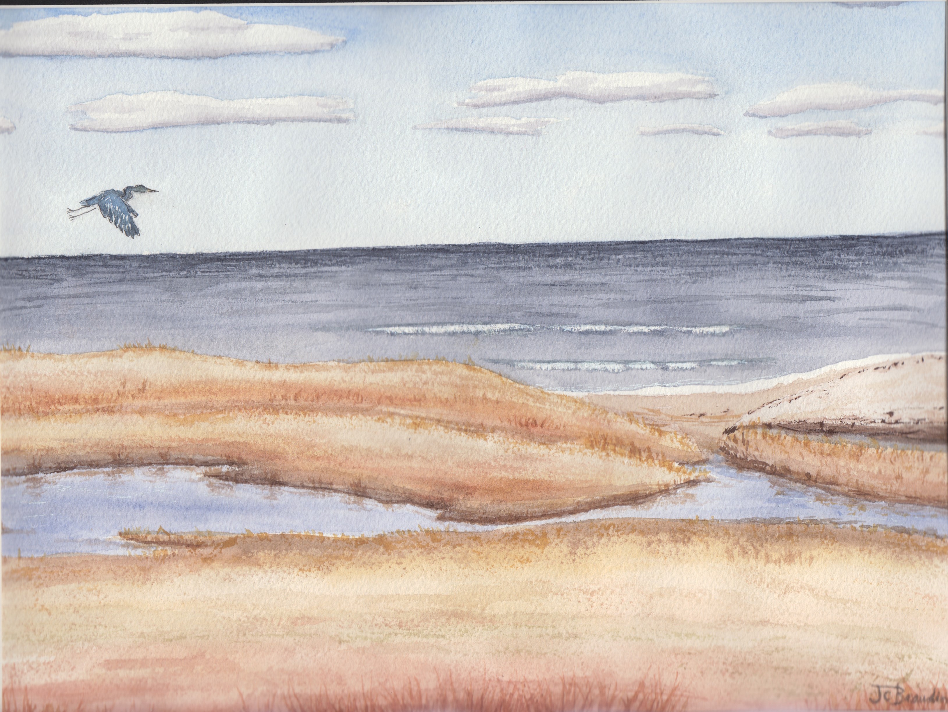 First sighting of a blue heron, back for the summer!
