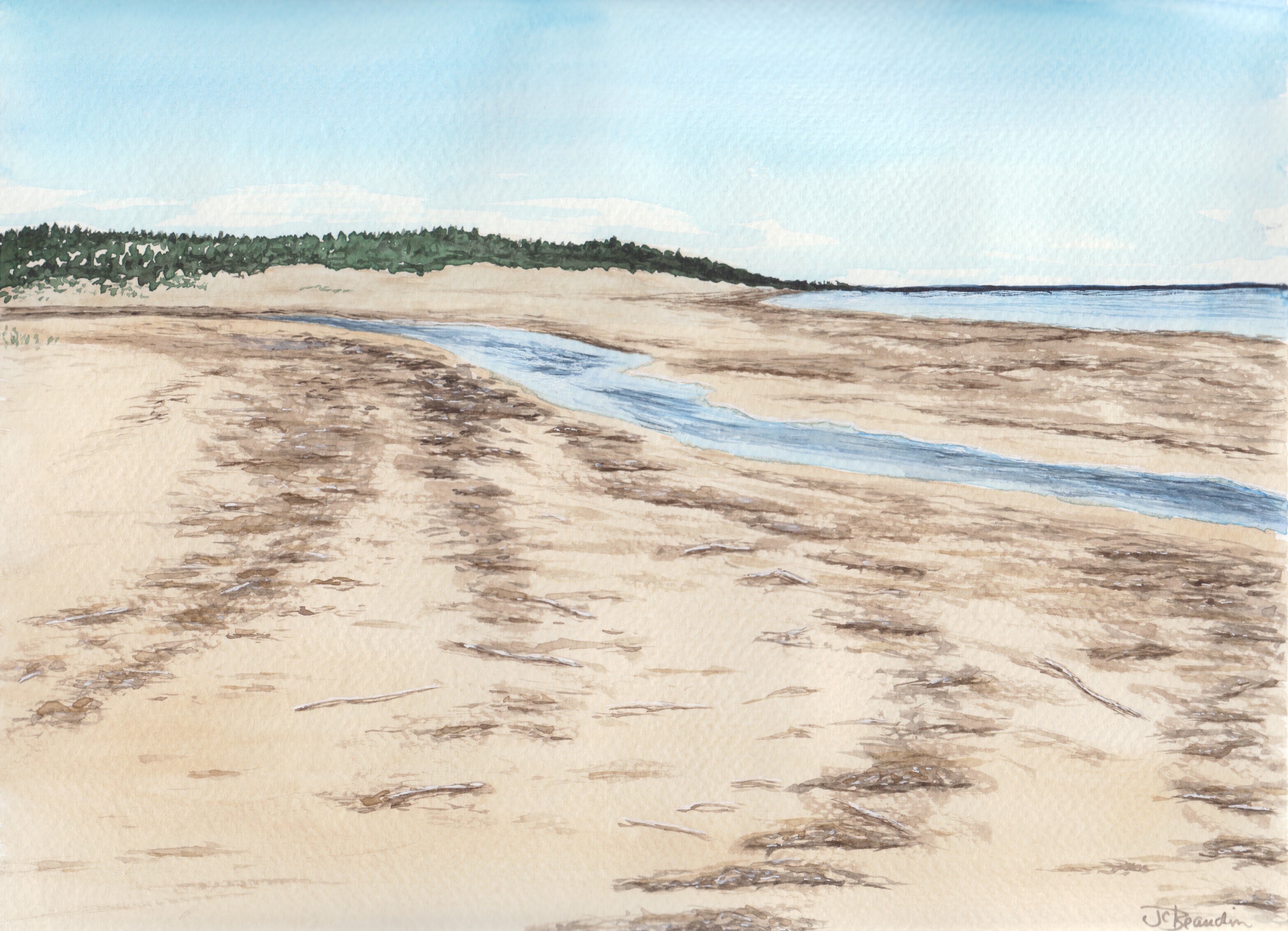 Rows of seaweed washed ashore by strong winds off the water... they'll wash away again with the tide or maybe be buried in the sand.