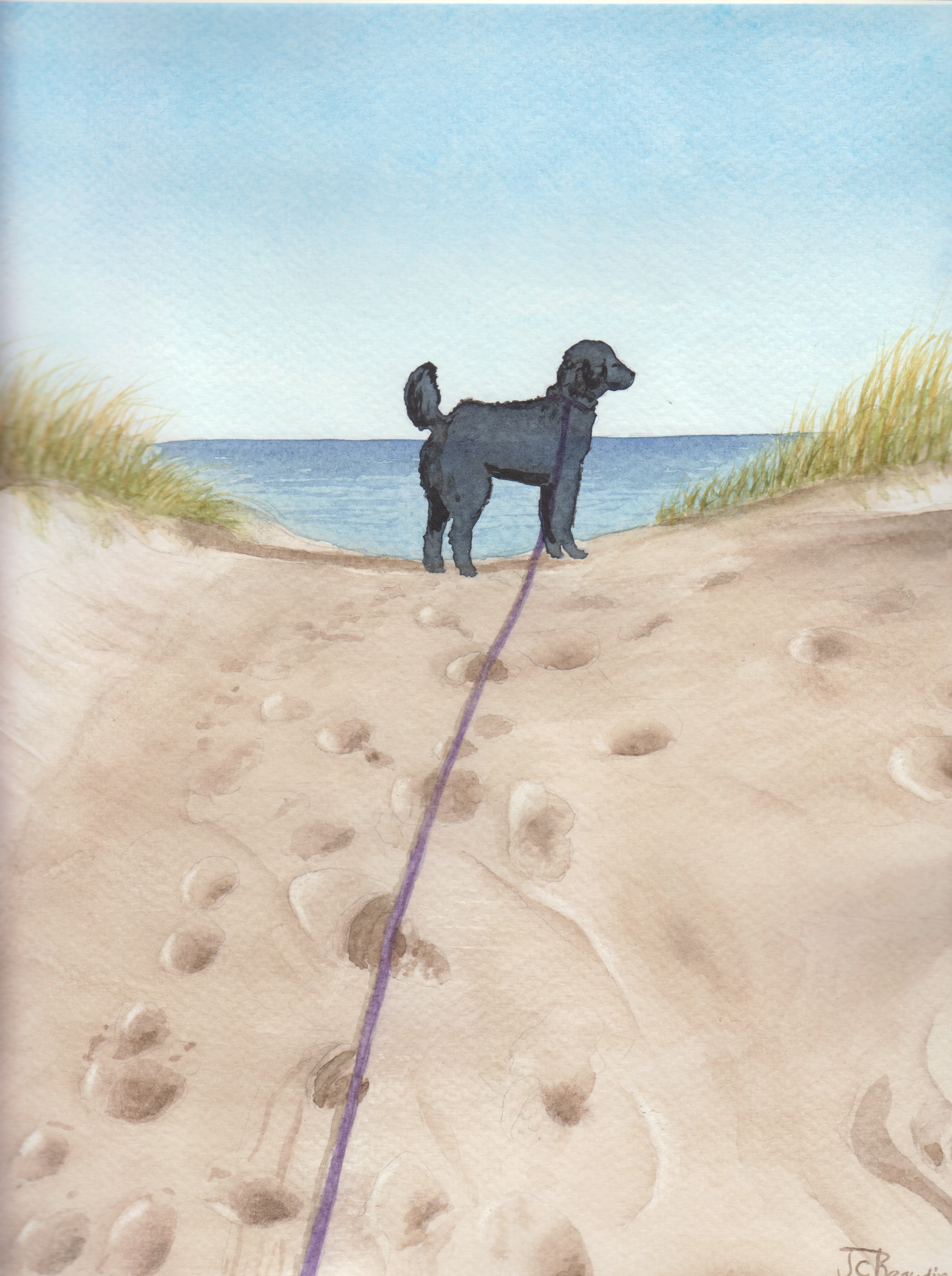 This is Matilda, one of our beloved neighbourhood puppies, looking down the beach from on top of the dune path... I wonder who she sees...